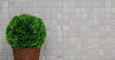 Handmuster Mosaik Fliese Marmor Naturstein grau Grau Streifen MOS42-0204_m