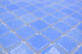 Mosaikfliese Poolmosaik Schwimmbadmosaik blau Dusche Bad MOS220-110R