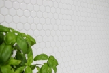 Hexagonale Sechseck Mosaik Fliese Keramik mini wei glnzend Fliesenspiegel Kche Wandverblender Badfliese WC - MOS11A-0102