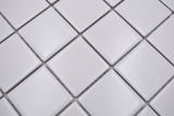 Keramik Mosaik Fliese wei matt Fliesenspiegel Badezimmerwand MOS16B-0111